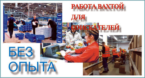 Работа вахтой без опыта